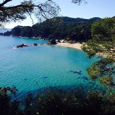 Appartements Les Pesquiers Hyeres Plage Eksteriør billede