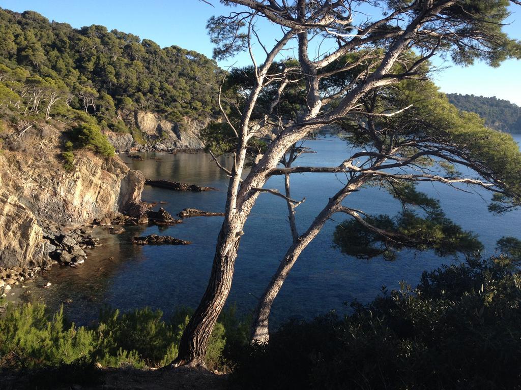 Appartements Les Pesquiers Hyeres Plage Eksteriør billede