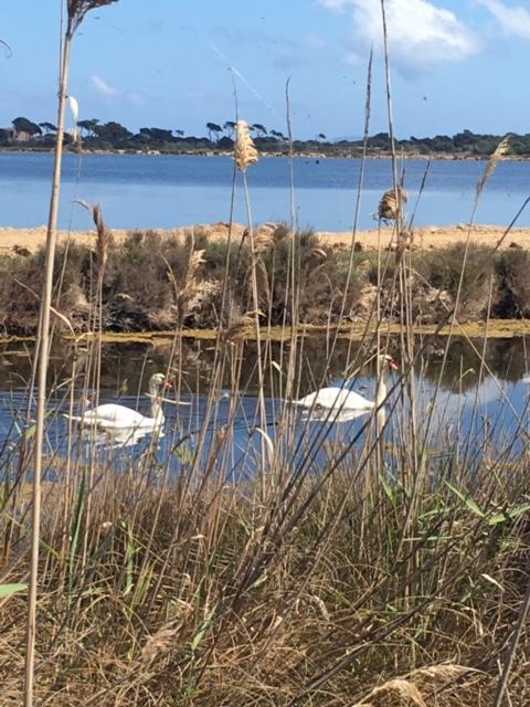 Appartements Les Pesquiers Hyeres Plage Eksteriør billede
